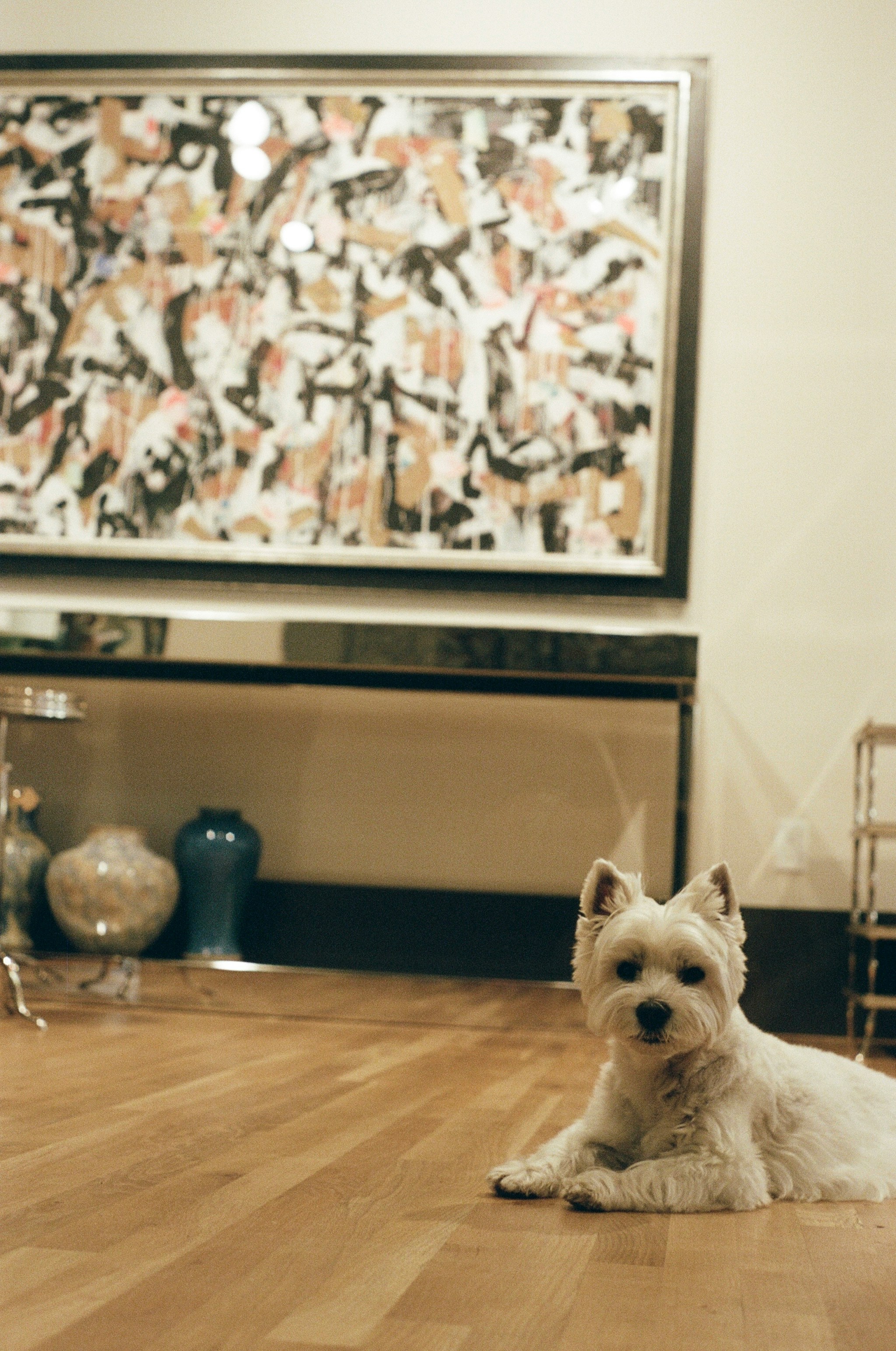 The Pet People Collection